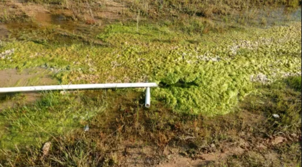 Raw sewage pouring out of the ground at Colony Ridge